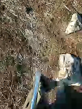 murokkk31 online show from January 15, 8:09 am