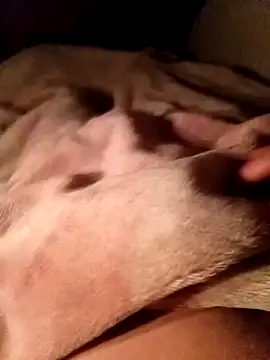 Plug0321 online show from April 6, 7:14 pm