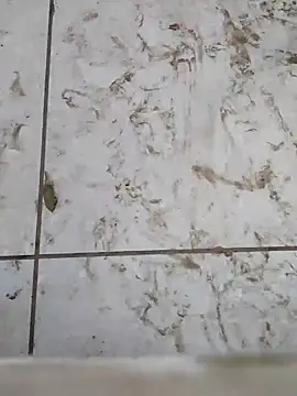 MAN MOHINI 21 online show from January 6, 6:36 am