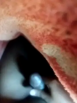 Nzfl97 online show from February 12, 7:13 pm