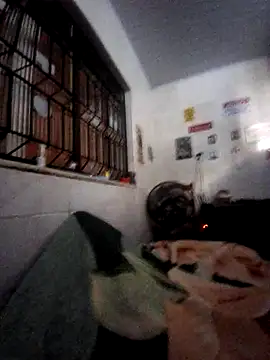 Zenfox24 online show from February 20, 12:29 pm