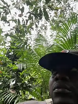 Andricastro online show from March 21, 6:34 pm