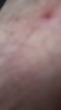 nevessartori online show from December 27, 10:05 pm