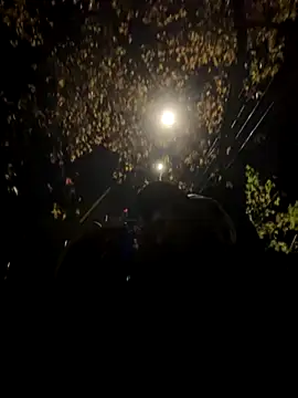 SmokingSloth online show from November 14, 4:15 am