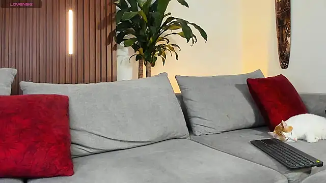 lucasanto  online show from April 11, 4:41 am