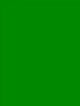 Pepite6 online show from February 8, 4:29 am