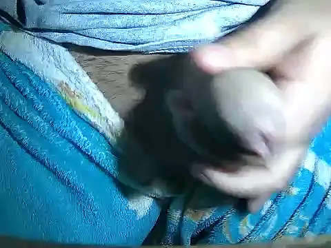 MyOsitobebe online show from February 8, 7:40 pm