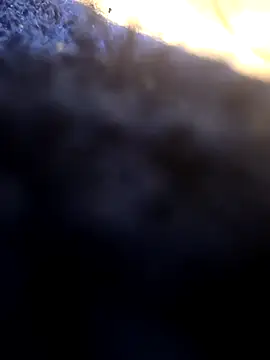 Jovende28 online show from December 14, 10:22 am