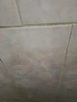 AlkalineCalmness online show from April 11, 6:31 am