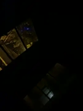 fuckpussyrrrr online show from November 6, 9:29 pm