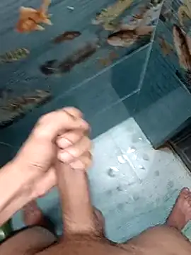 Mr joh online show from February 12, 6:25 pm