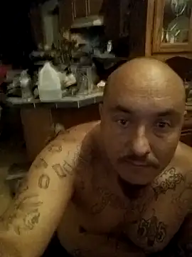 wilsons12 online show from November 25, 11:12 am