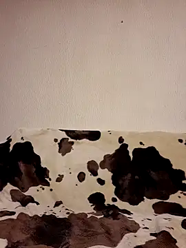 Zgodanilep online show from September 26, 8:17 pm