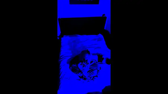 LuggiJack online show from February 28, 7:02 pm