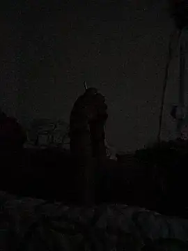 Johnras121 online show from April 11, 12:40 am