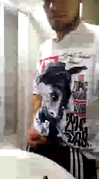 Jair BM online show from March 10, 3:45 am