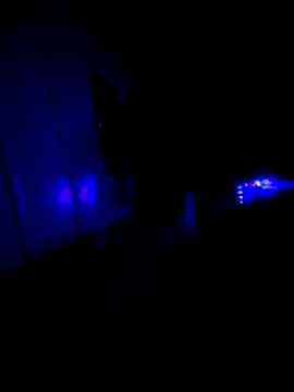 KAZADO LIBERAL online show from February 22, 11:33 am