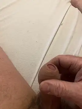 sid800 online show from November 14, 12:50 pm