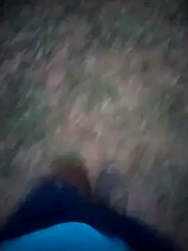 although35 online show from February 2, 5:04 pm