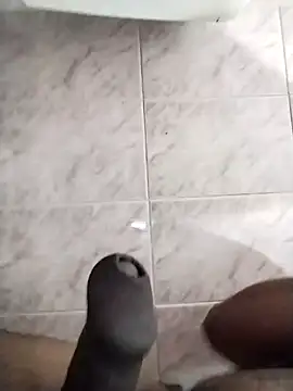 Snapshot of max_pane98 chatting on February 6, 12:43 am max pane98 online show from February 6, 12:43 am