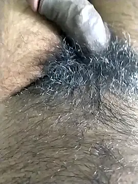 jellydicks online show from November 4, 5:58 pm