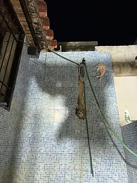 Leo bunny hot online show from October 26, 10:34 pm