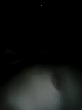 Snapshot of Macanxxx chatting on February 7, 12:42 am Macanxxx online show from February 7, 12:42 am