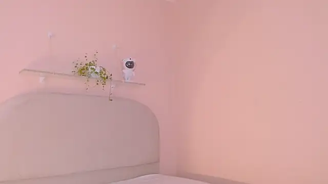 dilan sp online show from December 16, 11:34 pm