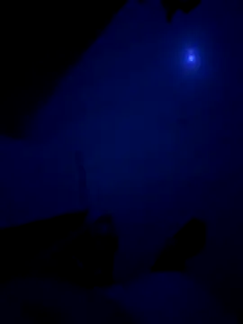 cryptoman1119 online show from November 9, 7:40 pm