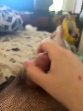 nugtali online show from October 27, 8:00 pm