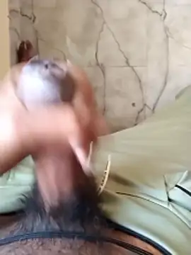 PracticalGum40 online show from January 7, 3:11 am