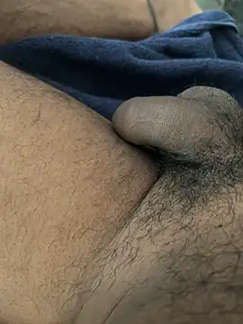  rocky  online show from January 25, 7:28 am