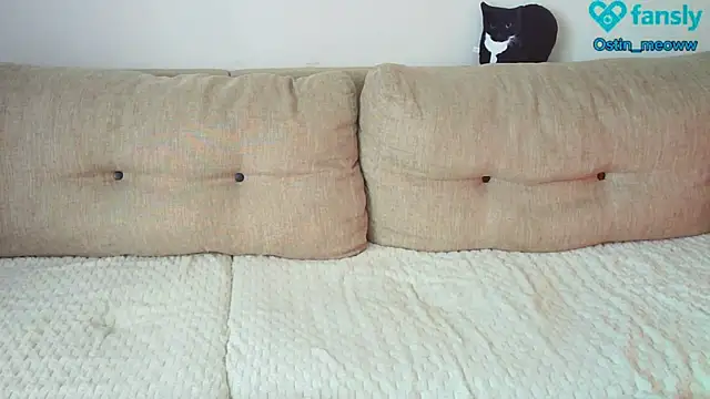 Snapshot of Ostin_meow chatting on February 25, 8:14 am Ostin meow online show from February 25, 8:14 am