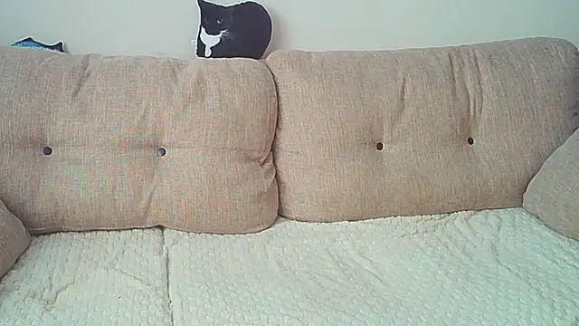 Snapshot of Ostin_meow chatting on December 26, 8:07 am Ostin meow online show from December 26, 8:07 am