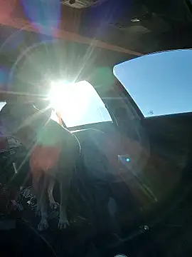 DatingProfile USA 43 str8 online show from October 6, 3:38 pm