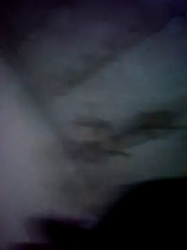 jolesin online show from December 21, 2:47 pm