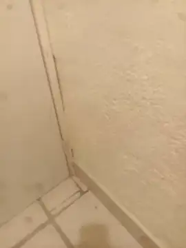 FlacoRiaton online show from February 10, 8:08 am