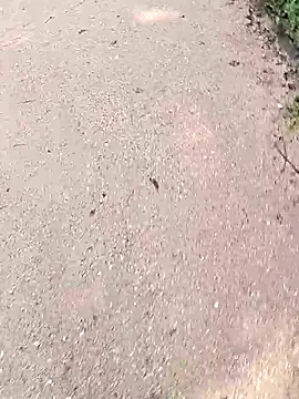 chootkapyasa007 online show from October 22, 7:12 am