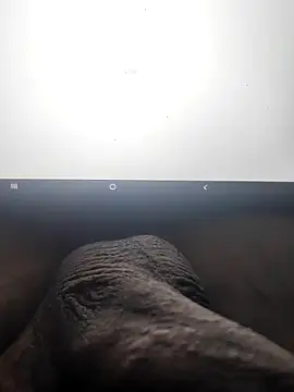 montero 3535 online show from February 12, 7:56 pm