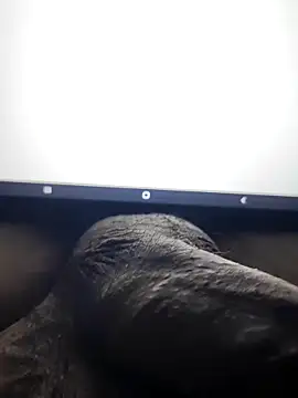 montero 3535 online show from February 19, 7:16 pm