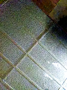 zaneporter46 online show from February 4, 8:59 pm