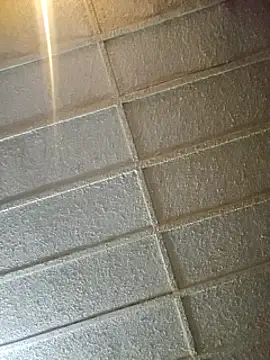 zaneporter46 online show from February 8, 7:48 am