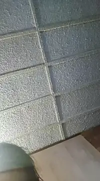 zaneporter46 online show from February 6, 7:24 am