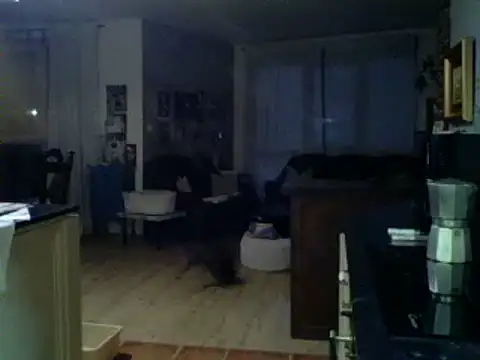 kevincumporn online show from March 5, 3:19 am