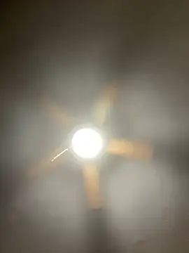 lesvenn online show from December 29, 6:35 am