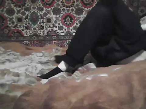 AlferezzSolvajo online show from November 12, 7:03 am