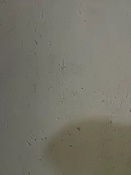 triplebeast online show from October 17, 4:49 am