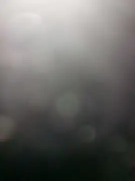 edubig23cm online show from January 19, 8:39 am