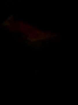 Raj41 online show from March 30, 5:36 pm