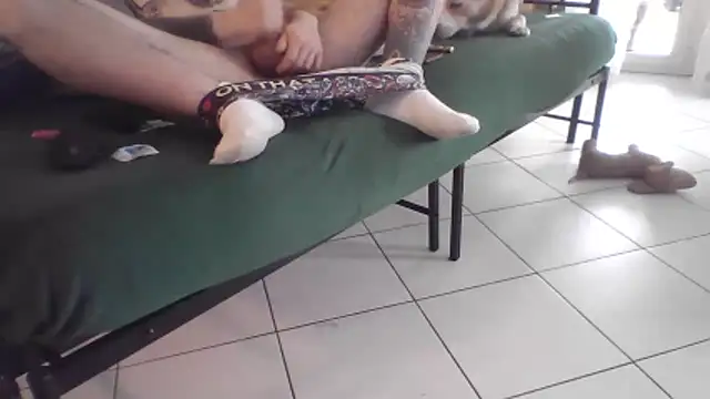 Damn bro23 online show from March 11, 12:01 pm